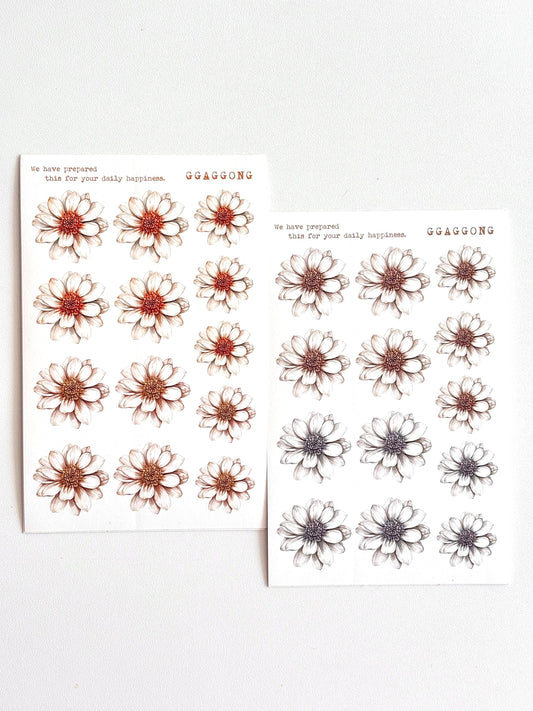 冬日雛菊 模造紙貼紙包