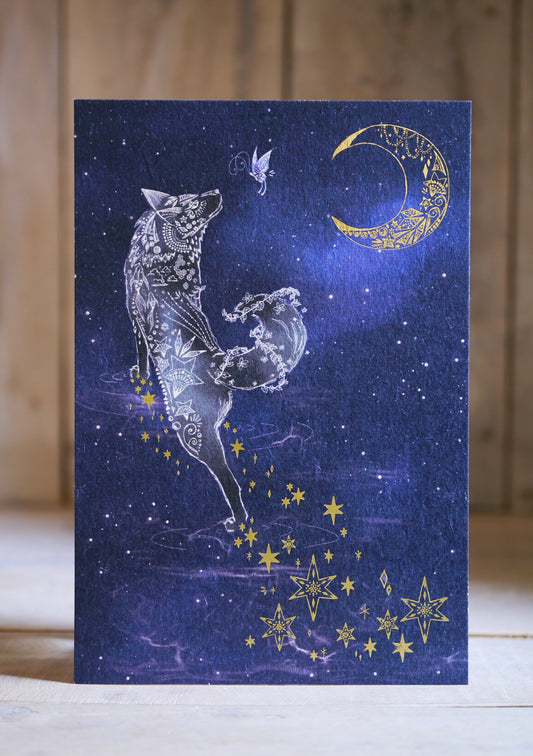 柴尾shibao 帶著夜晚同行 明信片