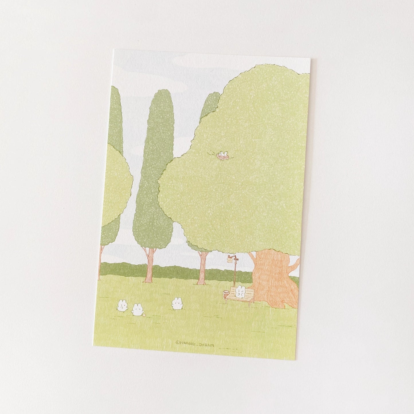 HWANG DARAM 公園明信片