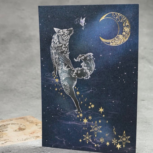 柴尾shibao 帶著夜晚同行 明信片