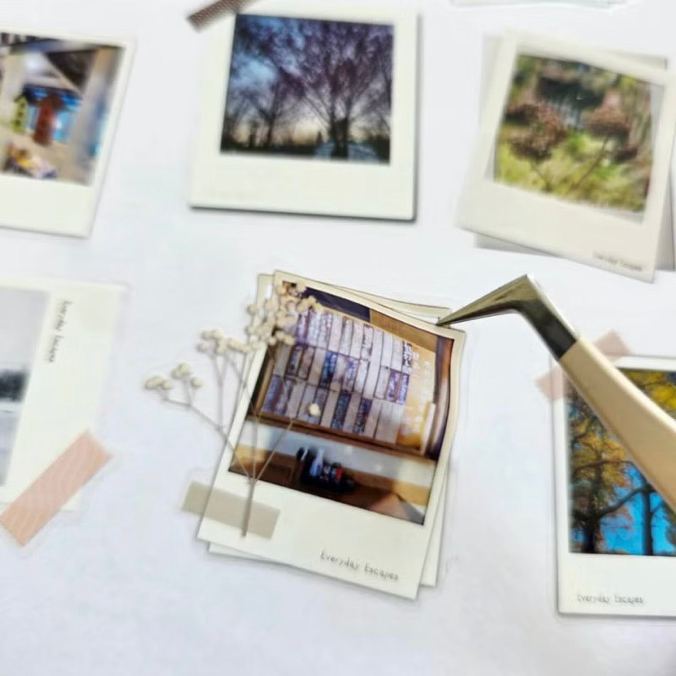 仙女丸 Fairy maru 立可拍 割型亮面PET紙膠帶