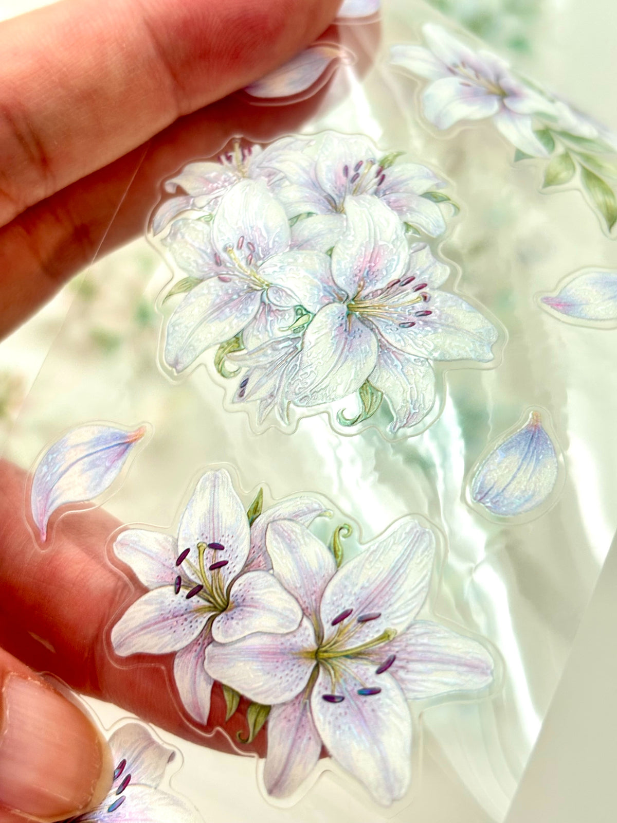 ggaggong Blush Lity 3D珠光亮面PET紙膠帶 (割型)
