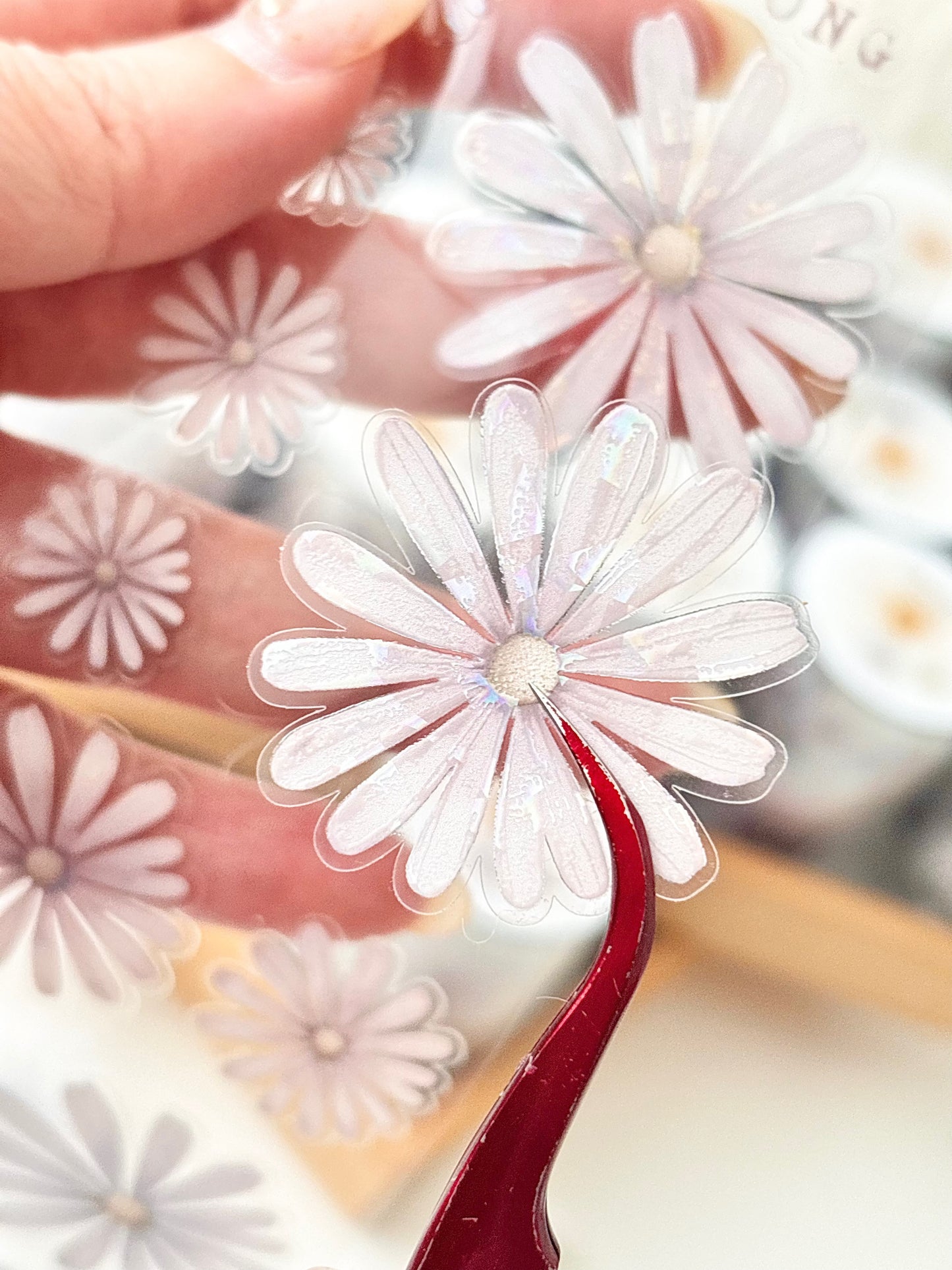 日照雛菊 亮面PET紙膠帶 (割型)