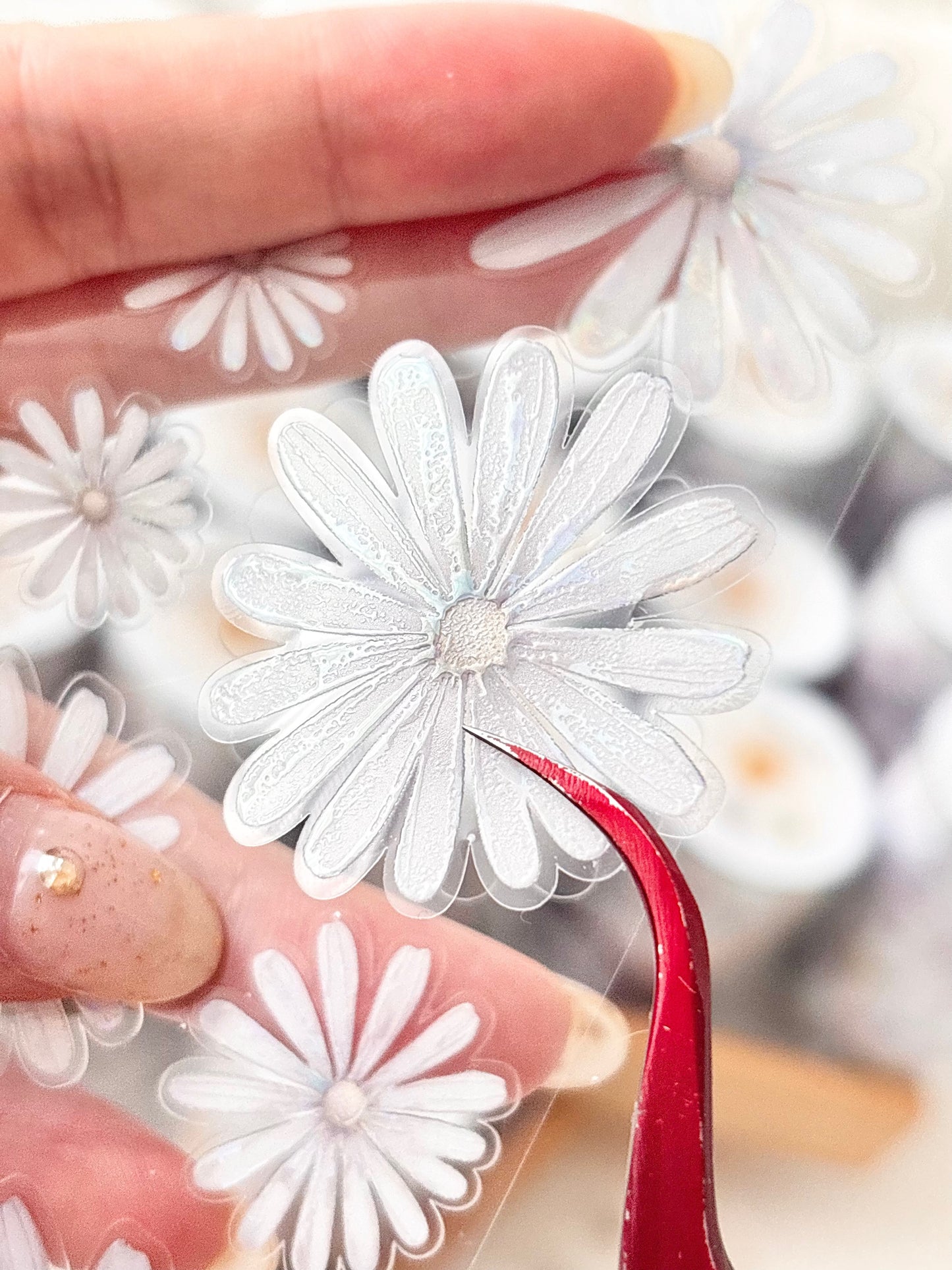 日照雛菊 亮面PET紙膠帶 (割型)